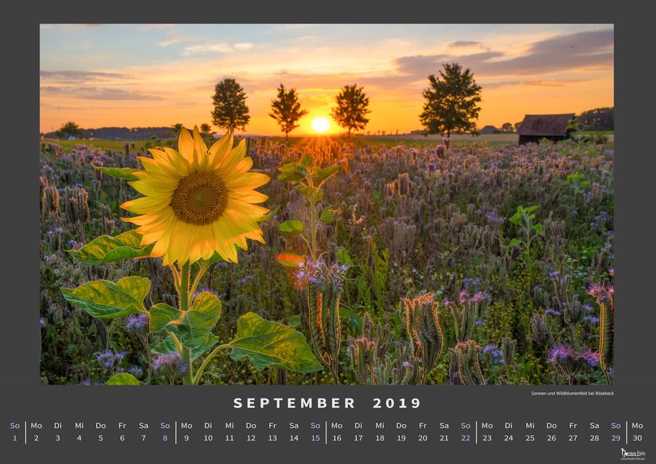 September