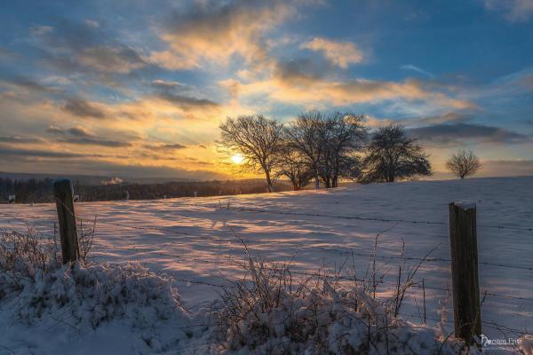 Winterwonderland