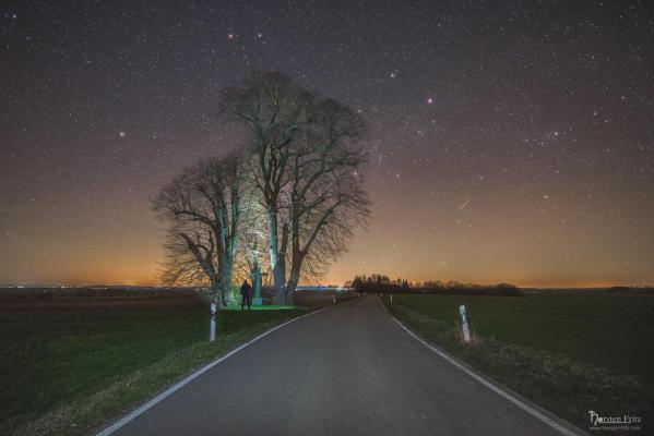 Nachts an der Hohenfelder Linde.