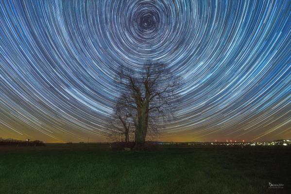 Startrails an der Hohenfelder Linde.