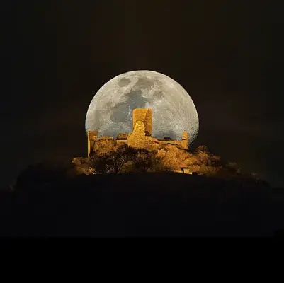 Desenberg- Mond