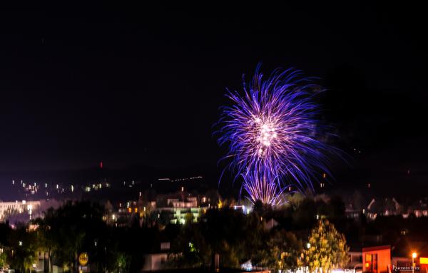 DSC_1503 