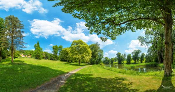 Sommerlandschaft