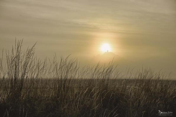 Desenberg im Nebel