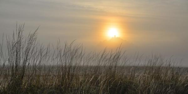 Nebel am Desenberg