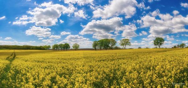  DSC7316-Pano-Bearbeitet