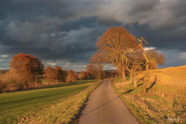 Tiefstehende Sonne im März