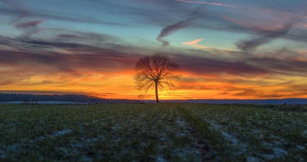 Sonnenuntergang im Januar