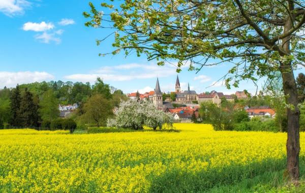 Warburg im Frühling