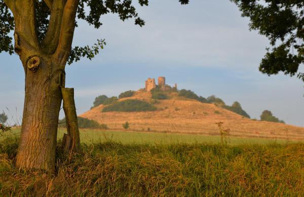 Morgens am Desenberg